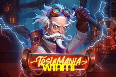 Game Providers winmi